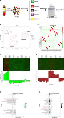 The Transcriptional Differences of Avian CD4+CD8+ Double-Positive T Cells and CD8+ T Cells From Peripheral Blood of ALV-J Infected Chickens Revealed by Smart-Seq2